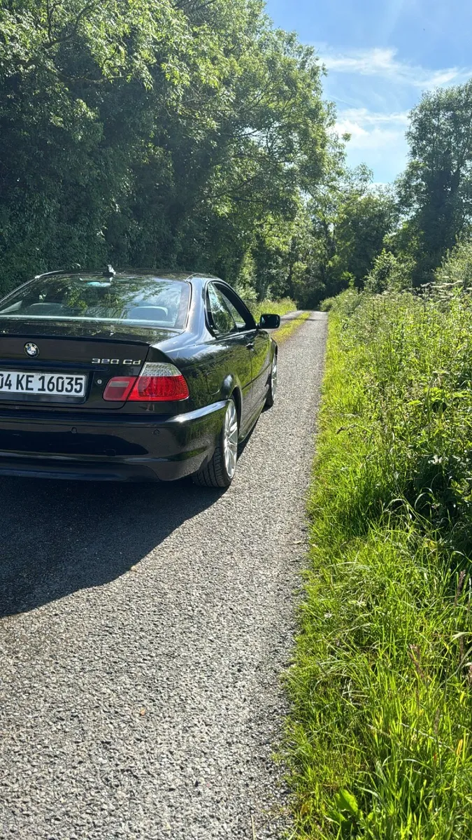BMW 3-Series 2004 - Image 2