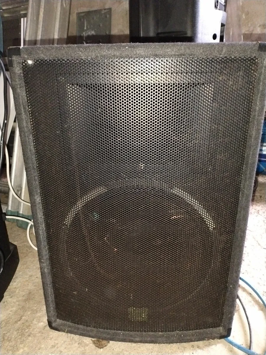 2 x 300W cabinet speakers