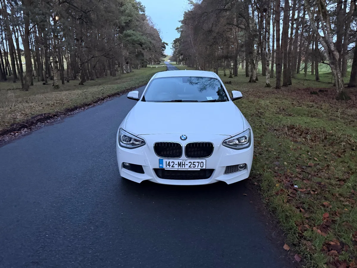 BMW 1-Series 116i 210 BHP Mapped - Image 2