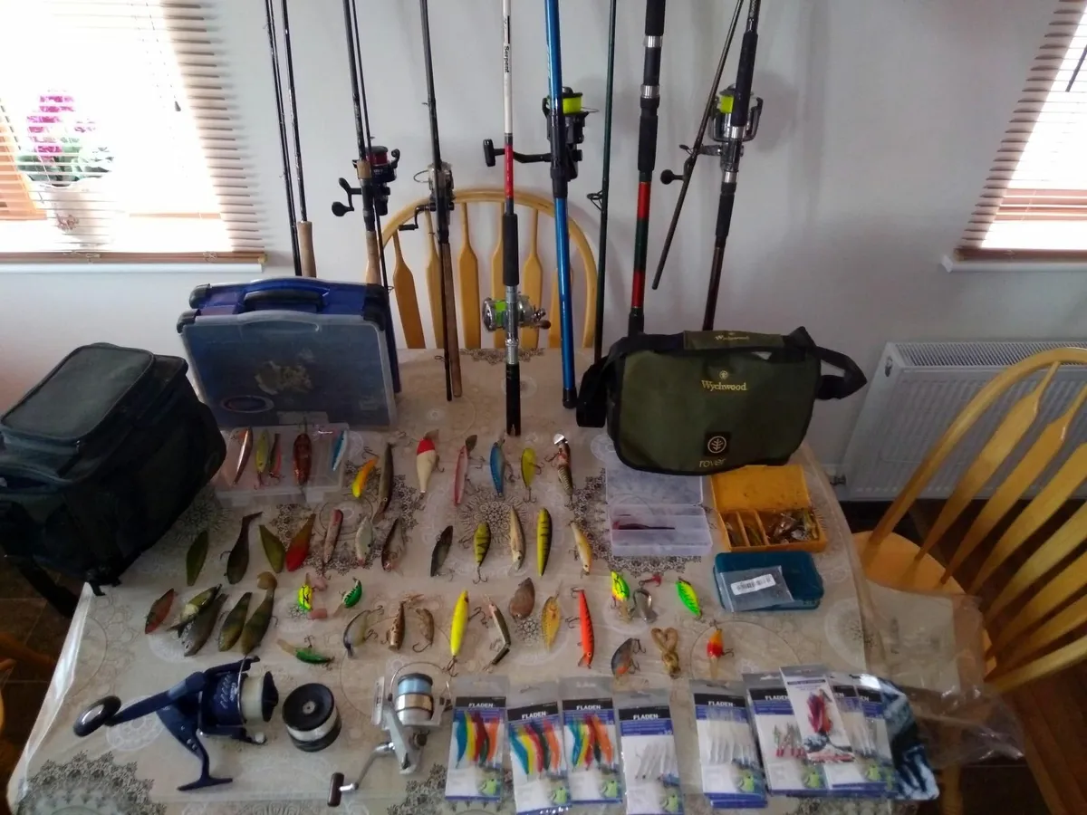 Fishing Rods and gear - Image 1