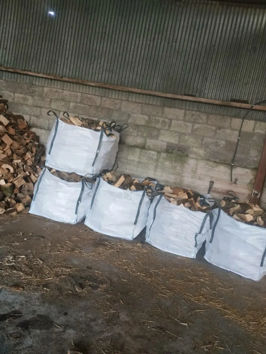 Seasoned Ash firewood - Image 1