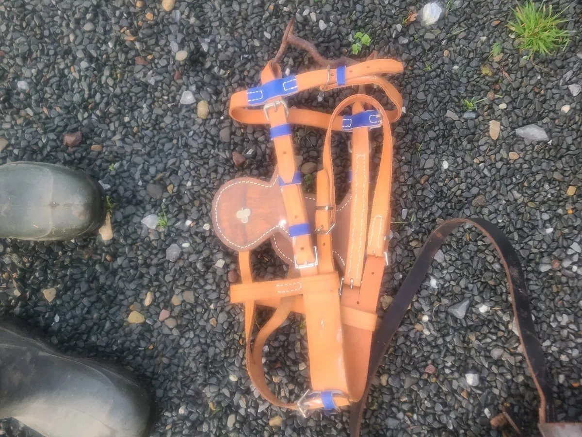 Donkey Harness - Image 2