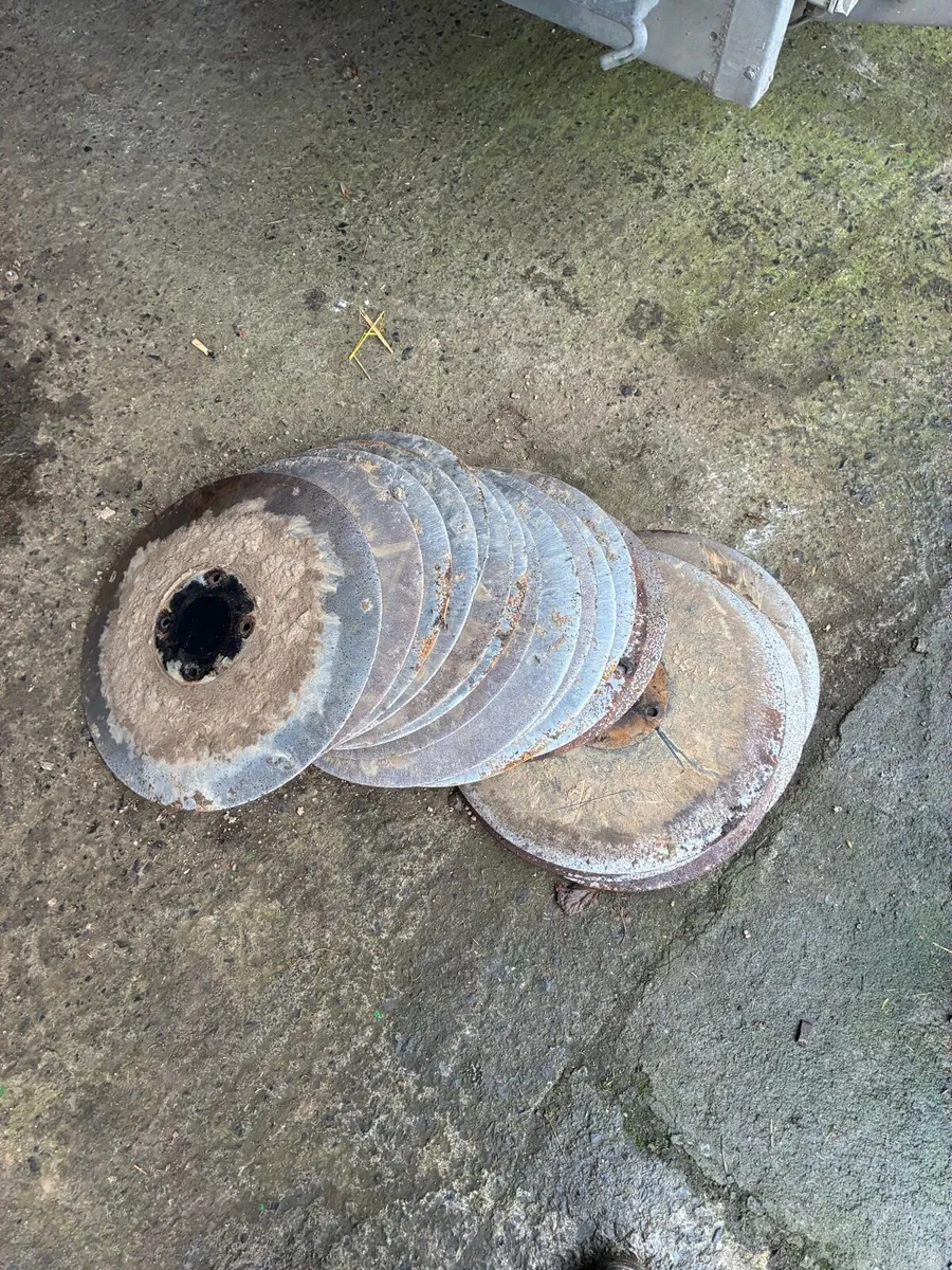 Amazone disks - Image 1