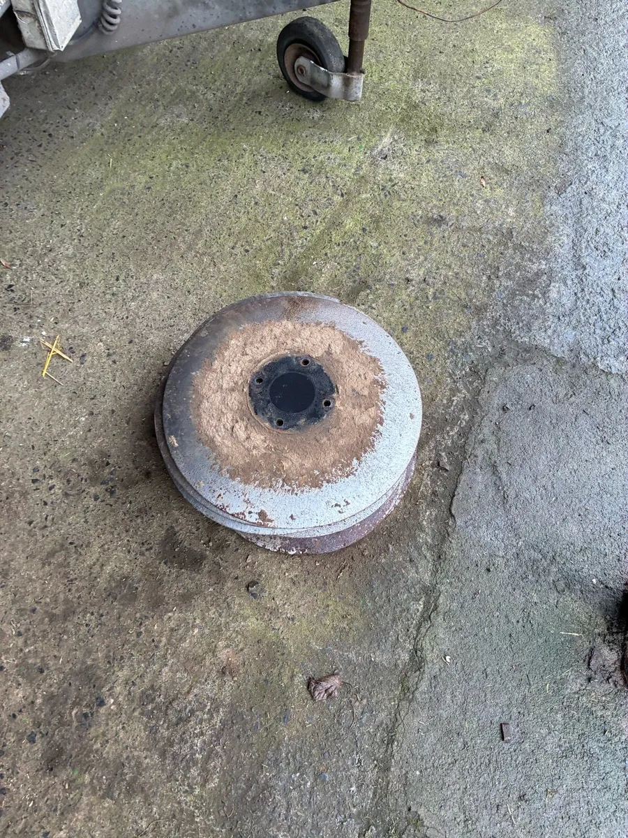 Amazone disks - Image 2