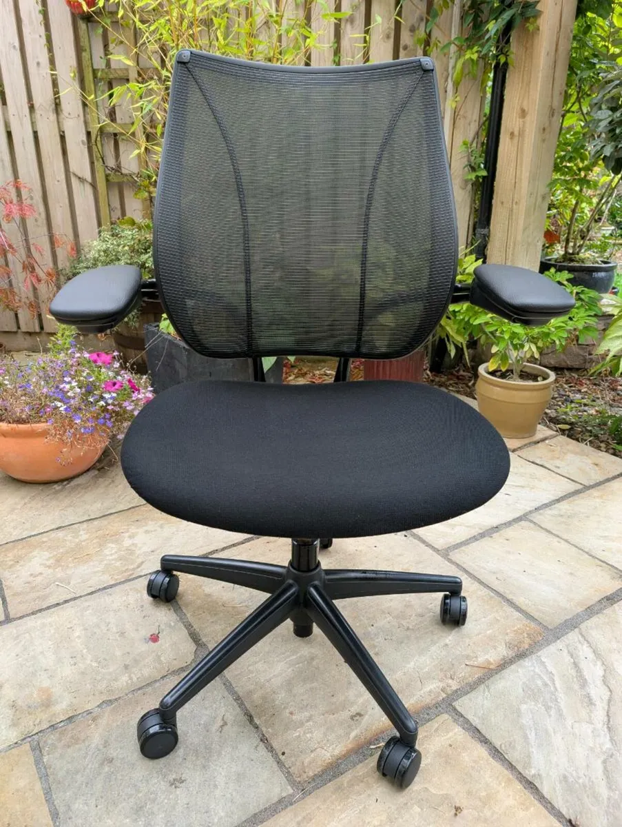 Ergonomic office chair - Image 1