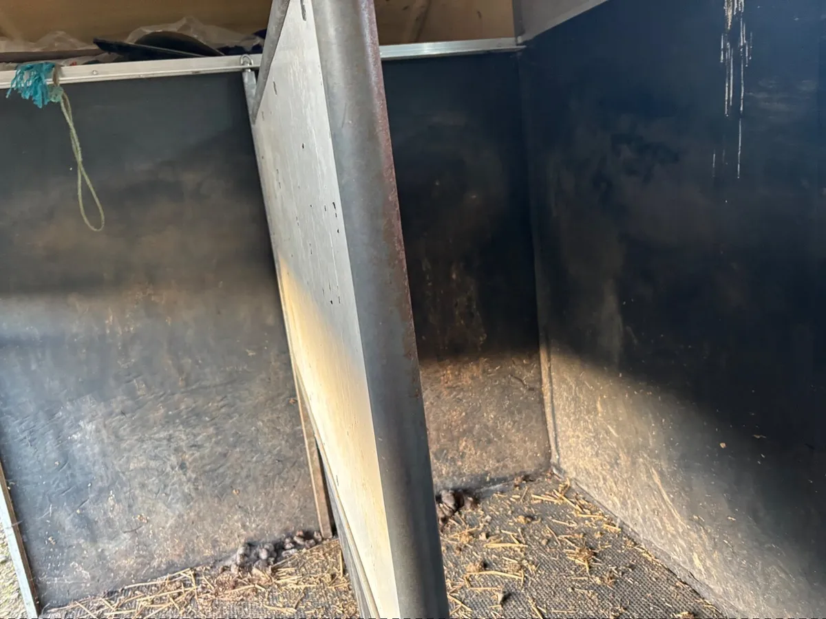 Two Horse van - Image 3