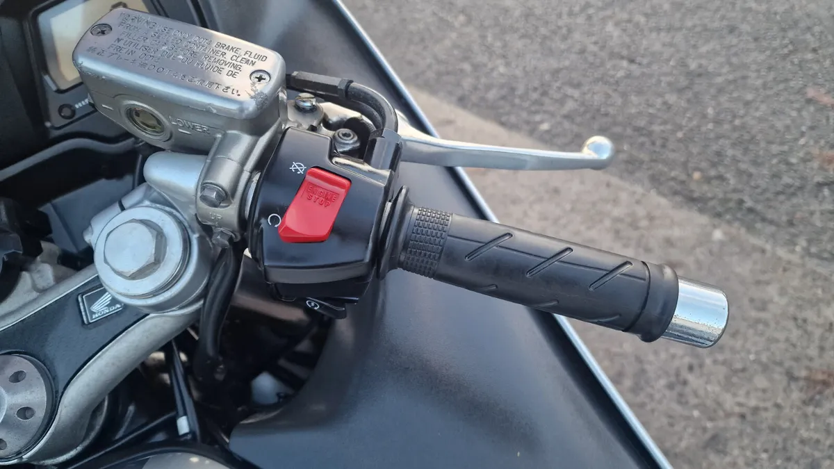 Blackbird @ Doyles Athlone - Image 4