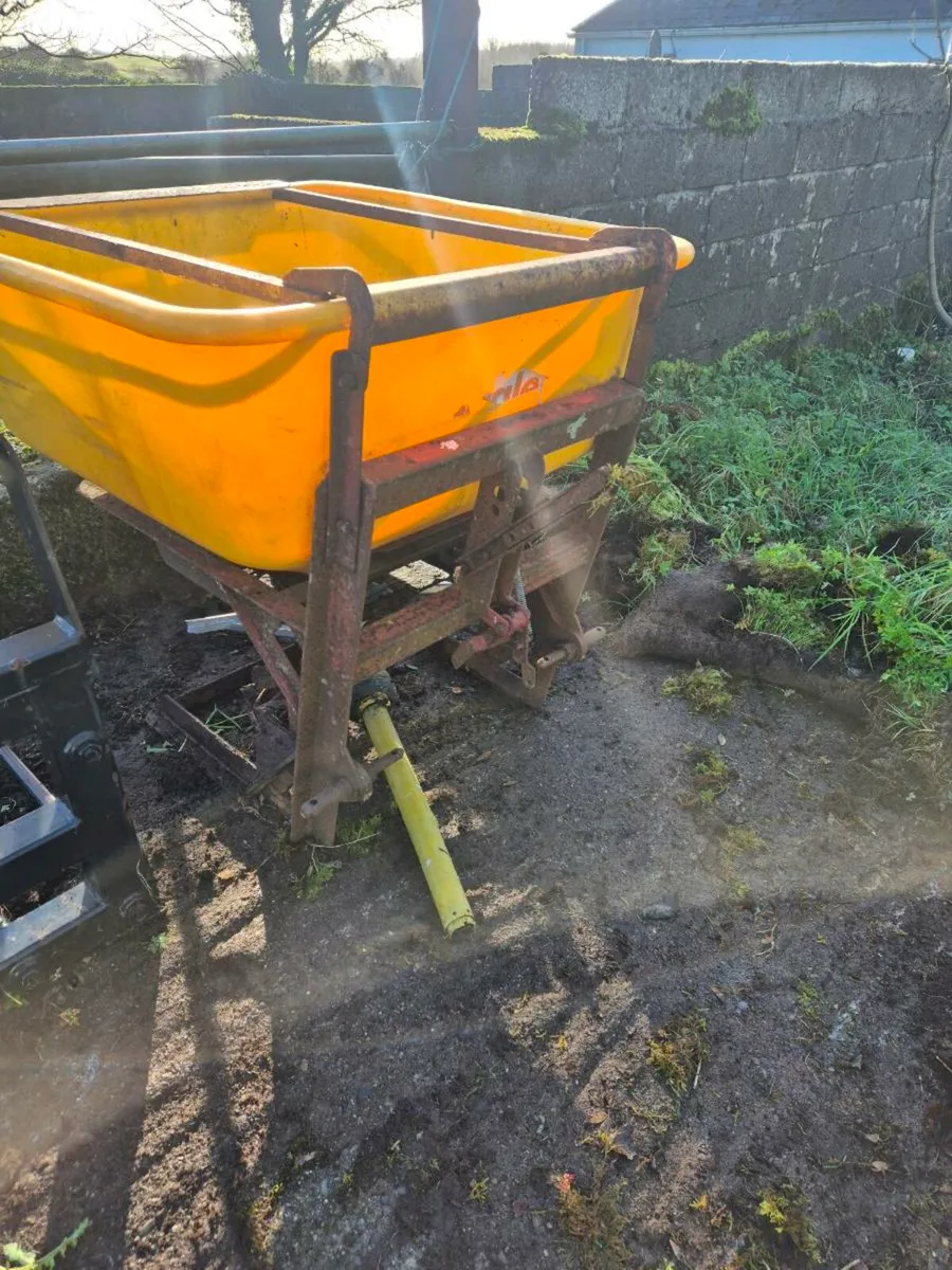 Yard clearence - Image 4