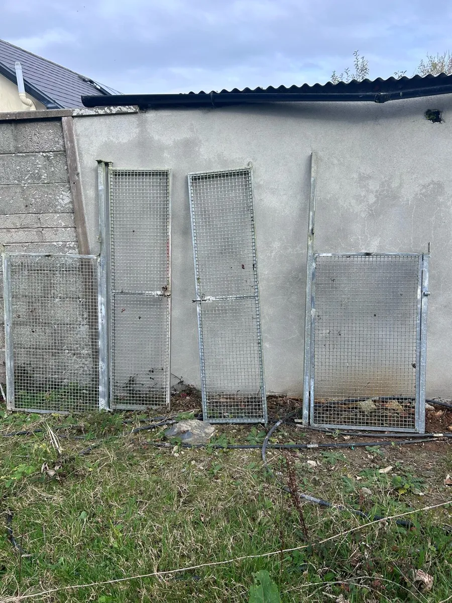 Kennels clear out *ad will be taken down soon* - Image 1