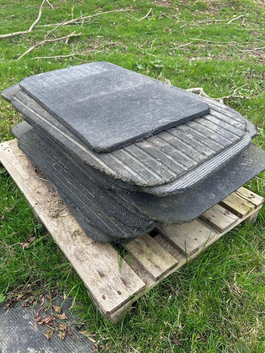 Kennels clear out *ad will be taken down soon* - Image 2