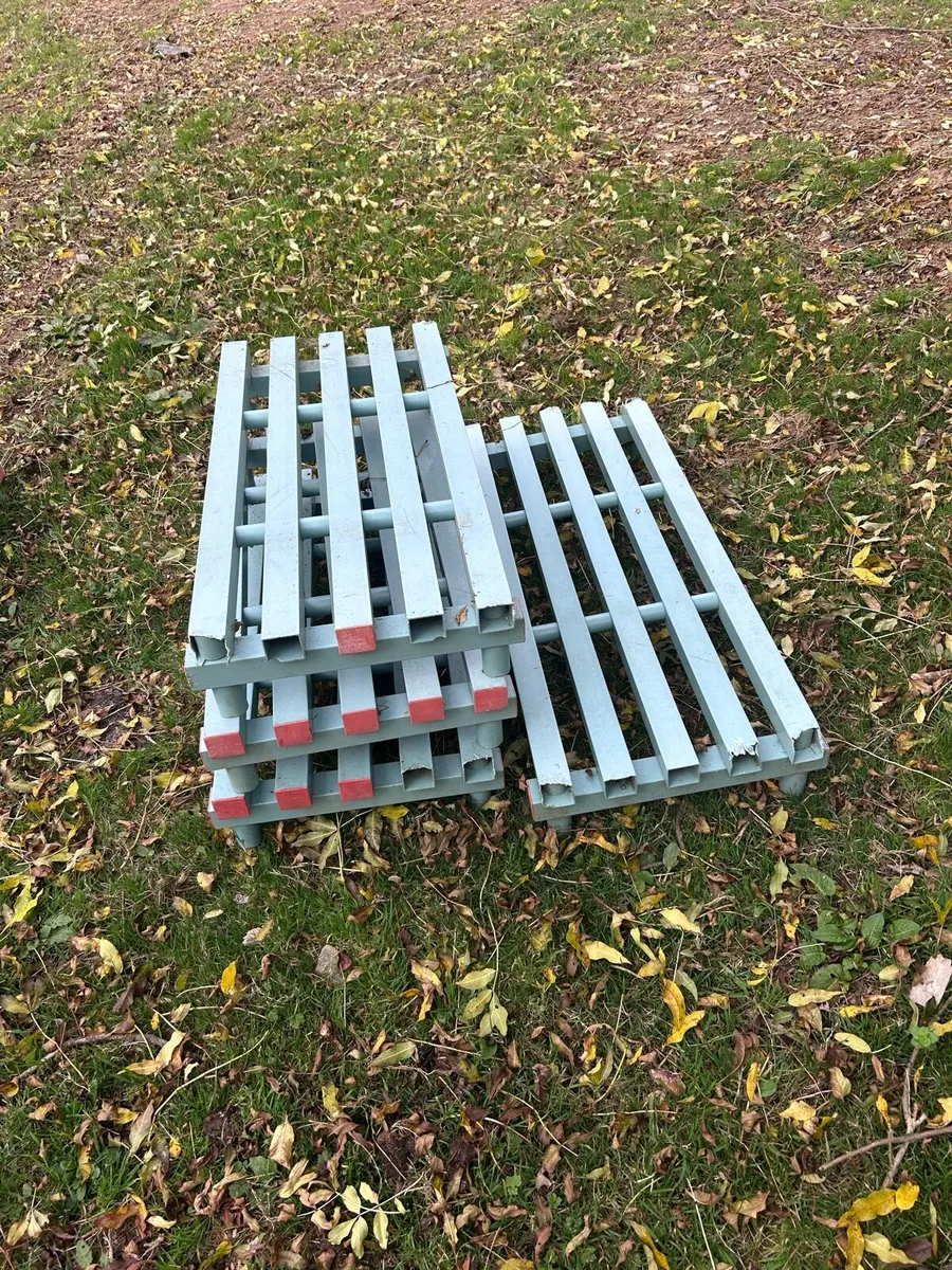 Kennels clear out *ad will be taken down soon* - Image 3