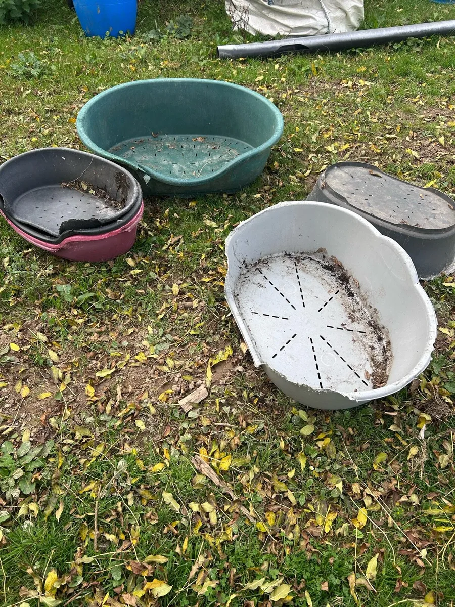 Kennels clear out *ad will be taken down soon* - Image 4