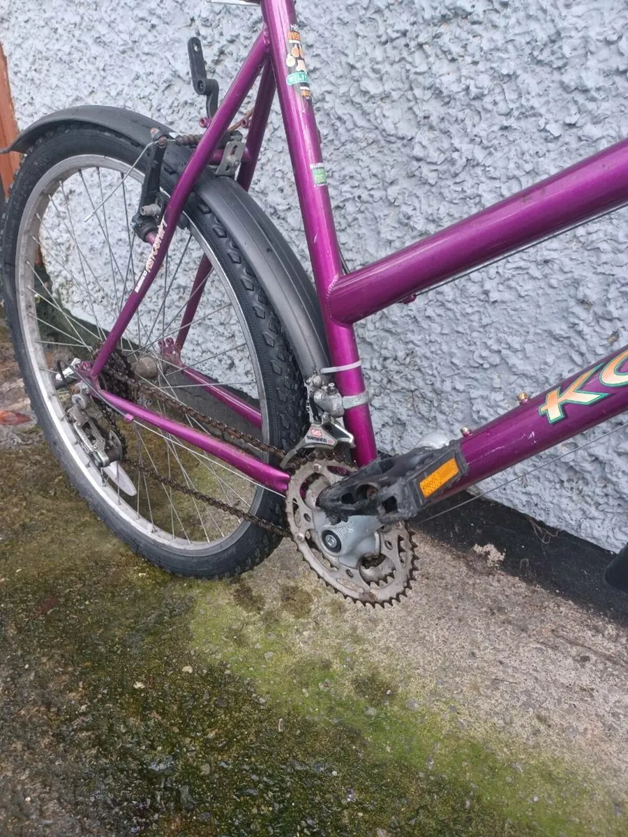 Kontiki bike - Image 3