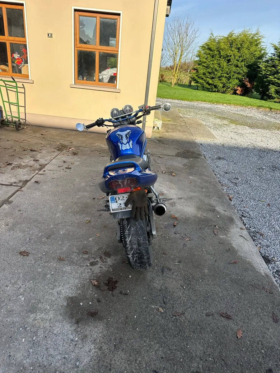 2002 Bandit 600 - Image 4