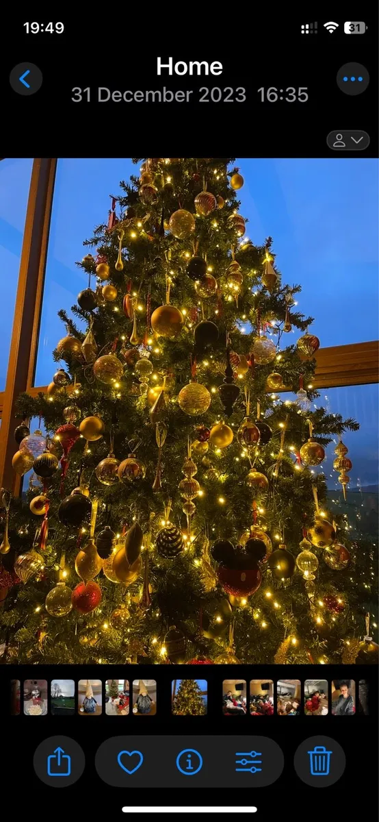 Huge 12-14 foot Christmas tree - Image 2