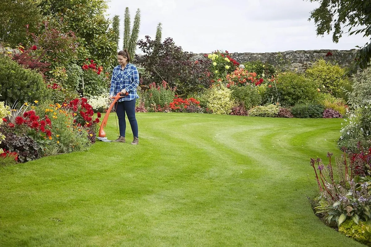 Electric Grass Trimmer Edger Cutting Width 25 cm - Image 4