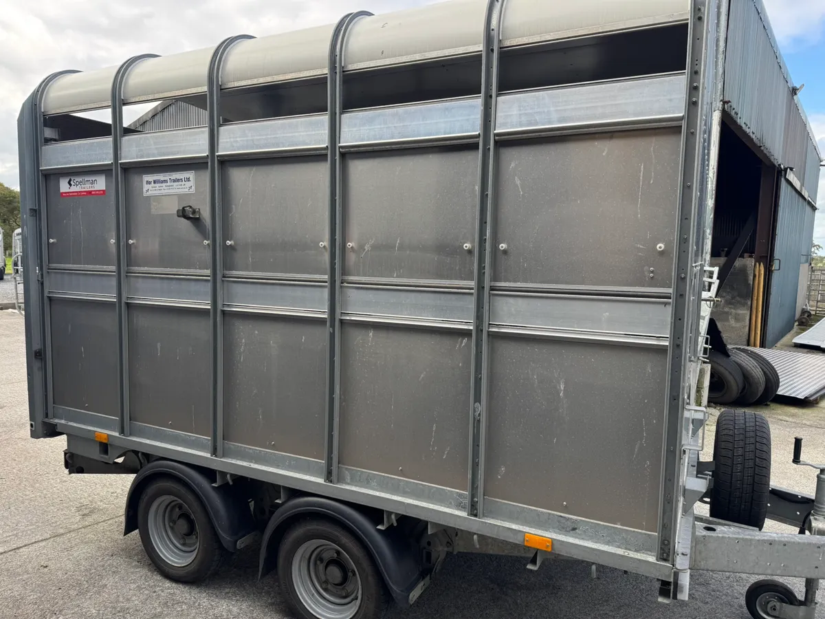 Ifor Williams livestock trailer - Image 4