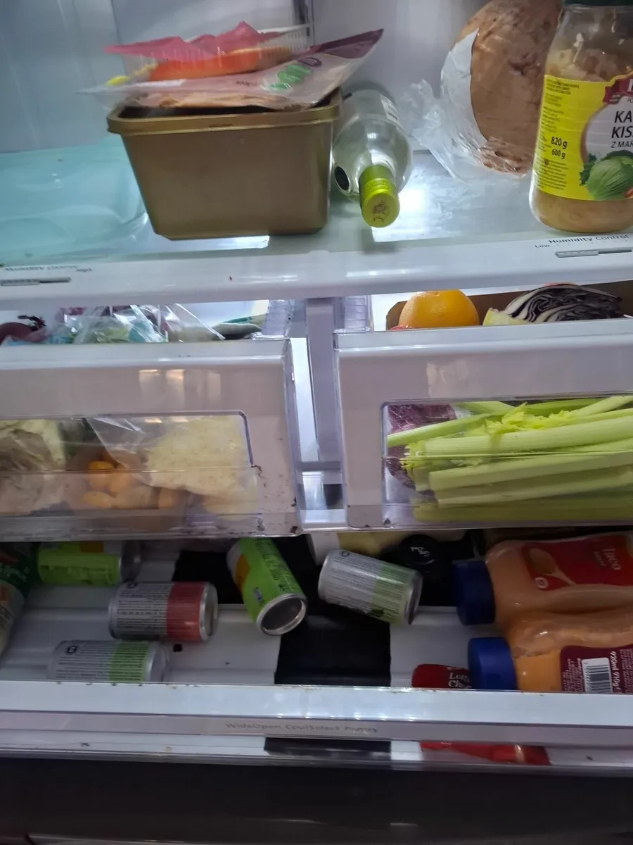 Double fridge freezer - Image 1