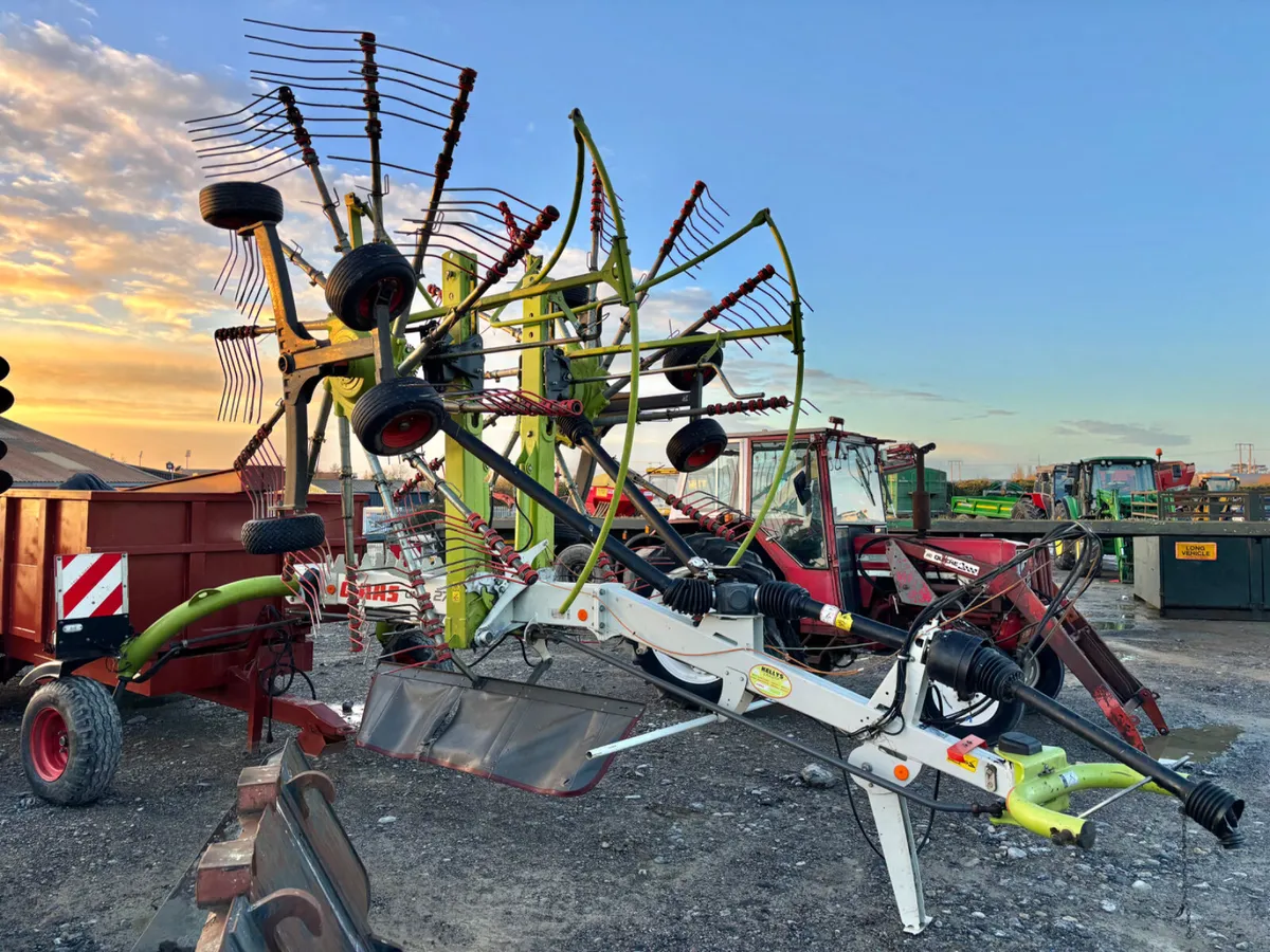 Portlaoise Auction Yard is Full - Image 3