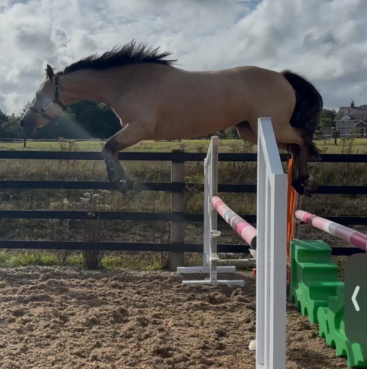 The Material Girl - Image 1