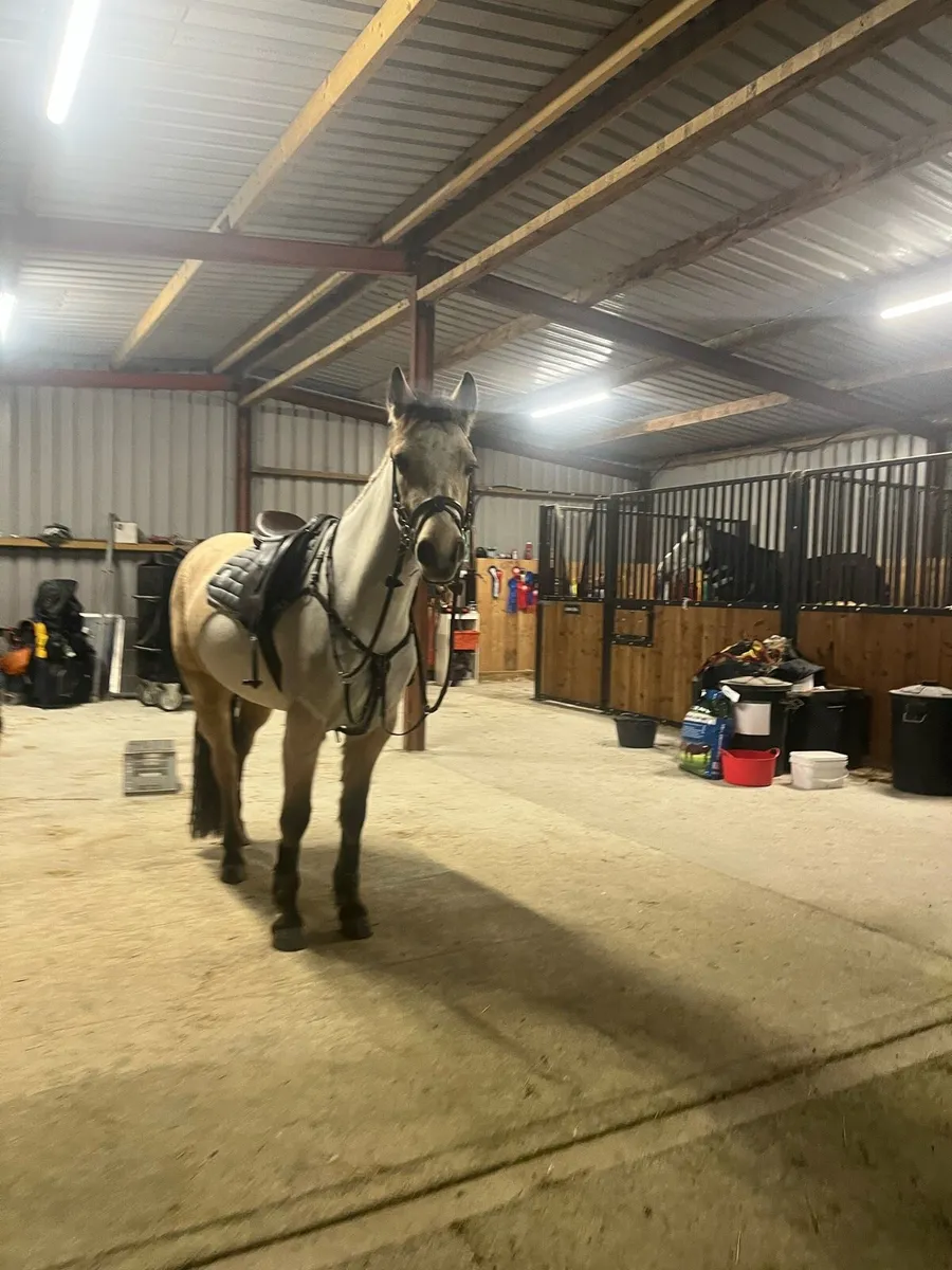 The Material Girl - Image 2