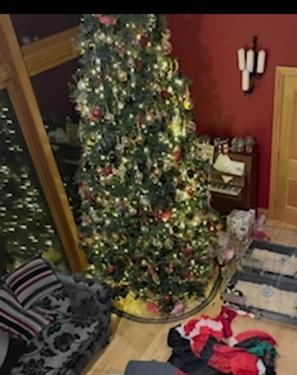 Huge 12-14 foot Christmas tree - Image 4