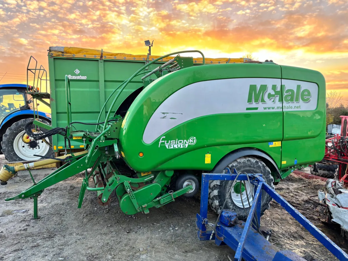 Auction Yard Full @ Portlaoise - Image 4