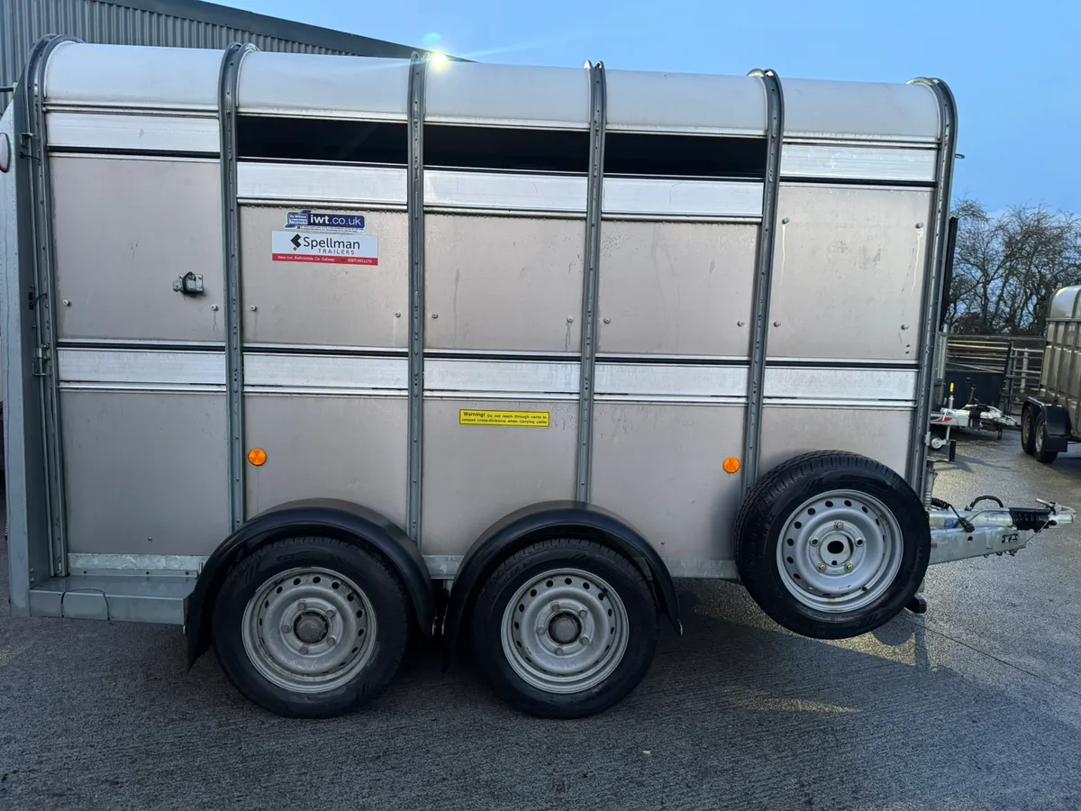 Ifor Williams livestock trailer - Image 1