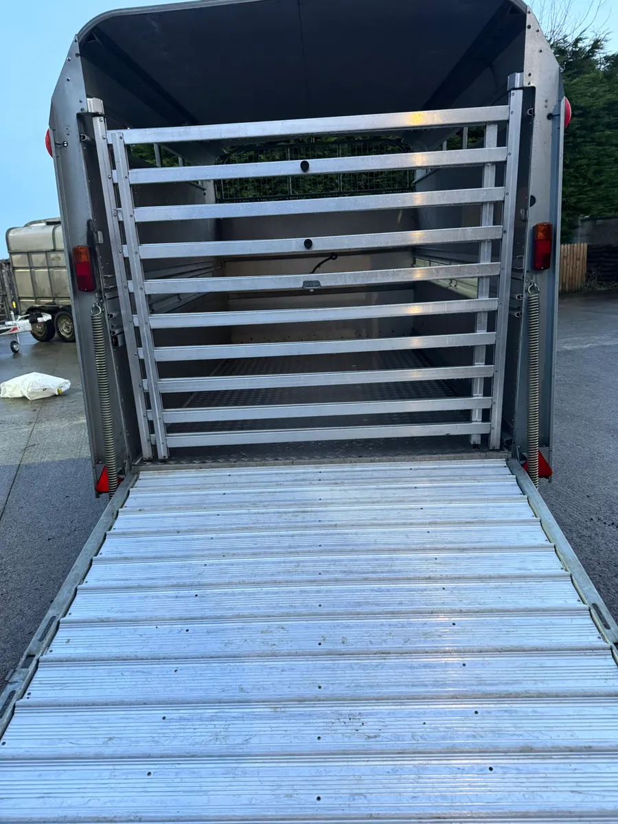 Ifor Williams livestock trailer - Image 3