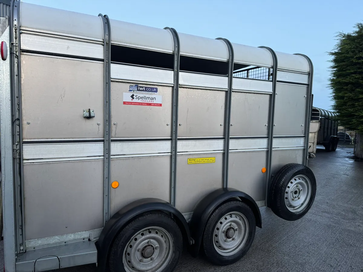 Ifor Williams livestock trailer - Image 4
