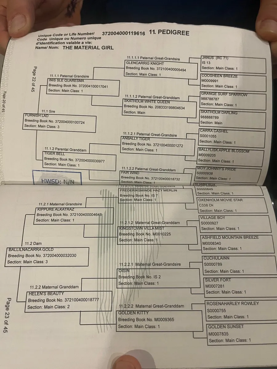 The Material Girl - Image 4