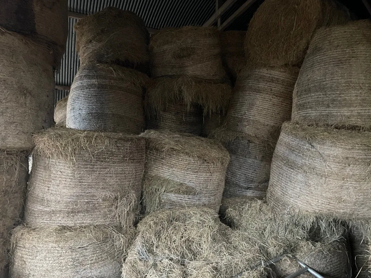 40 Hay bales for sale - Image 1