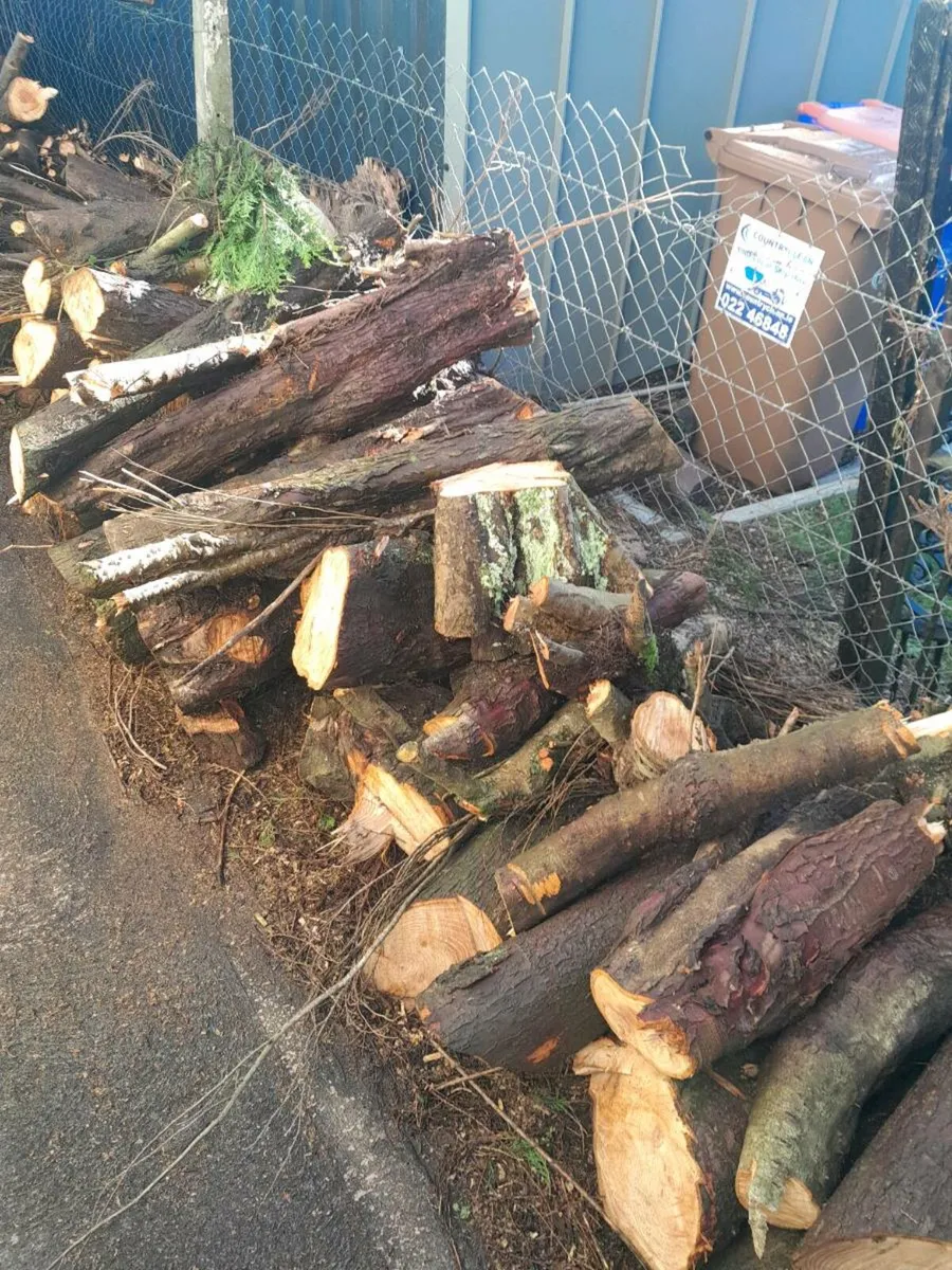 Firewood - Image 2