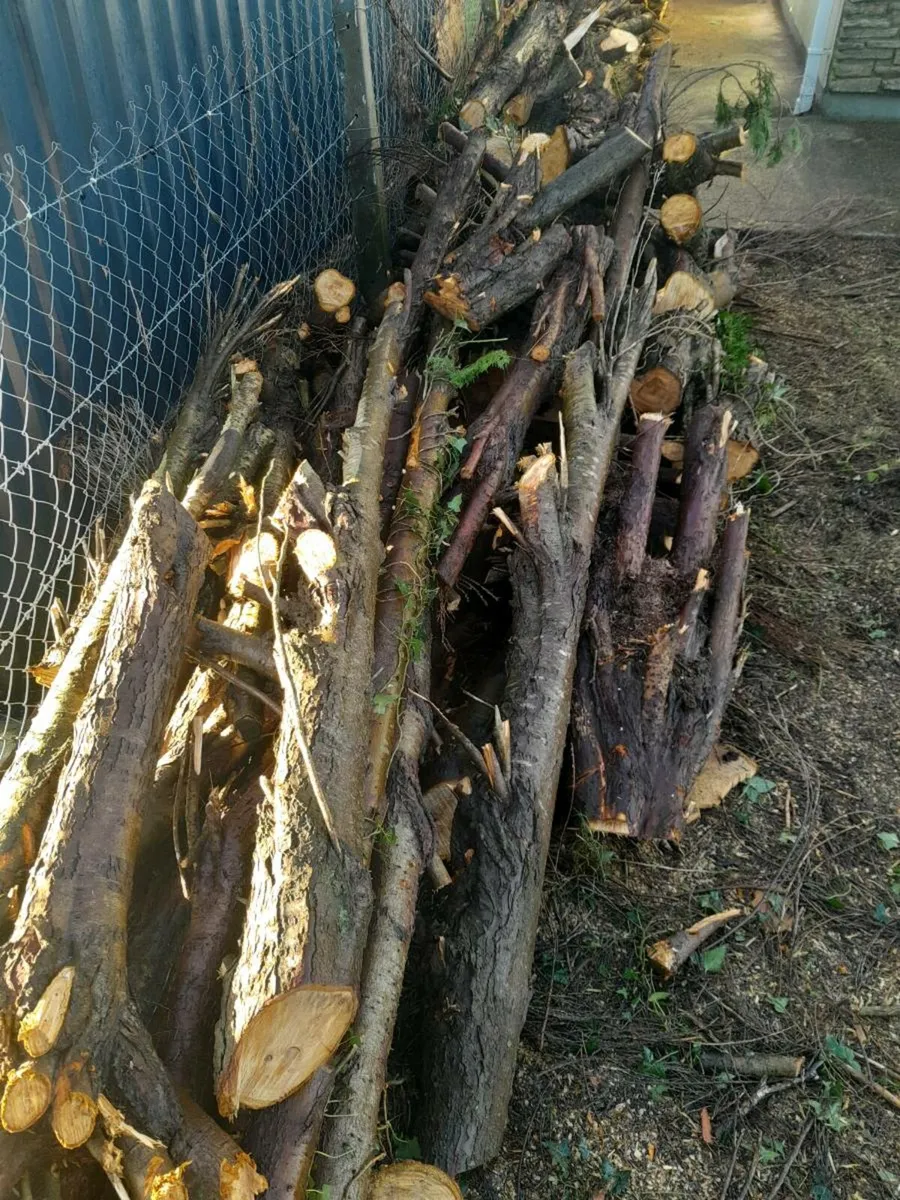 Firewood - Image 3