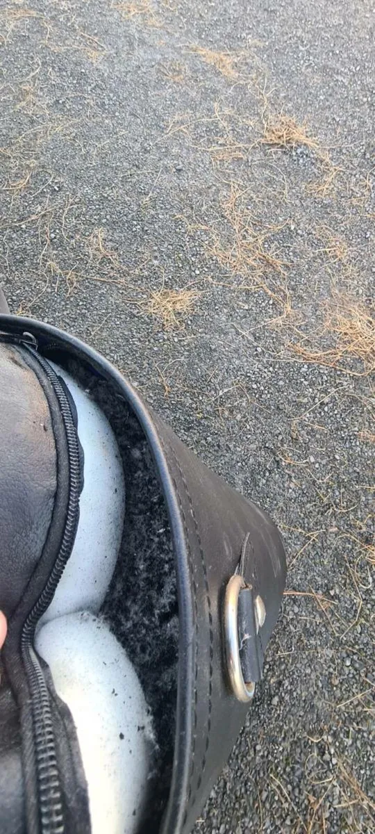 Heavy Punch Bag - Image 2