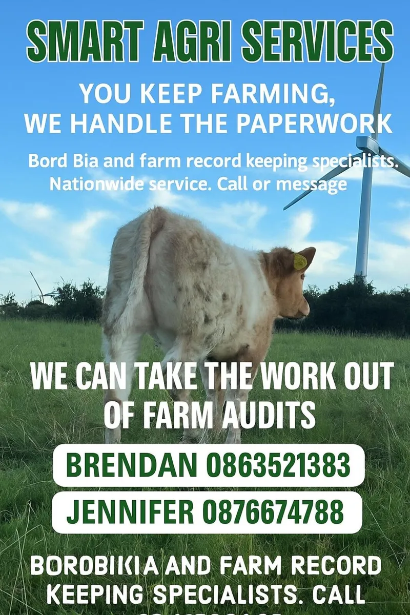 Bord Bia Before Christmas? - Image 1