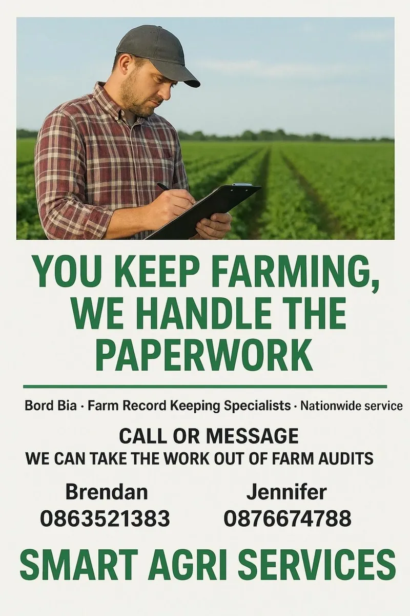 Bord Bia Before Christmas? - Image 2