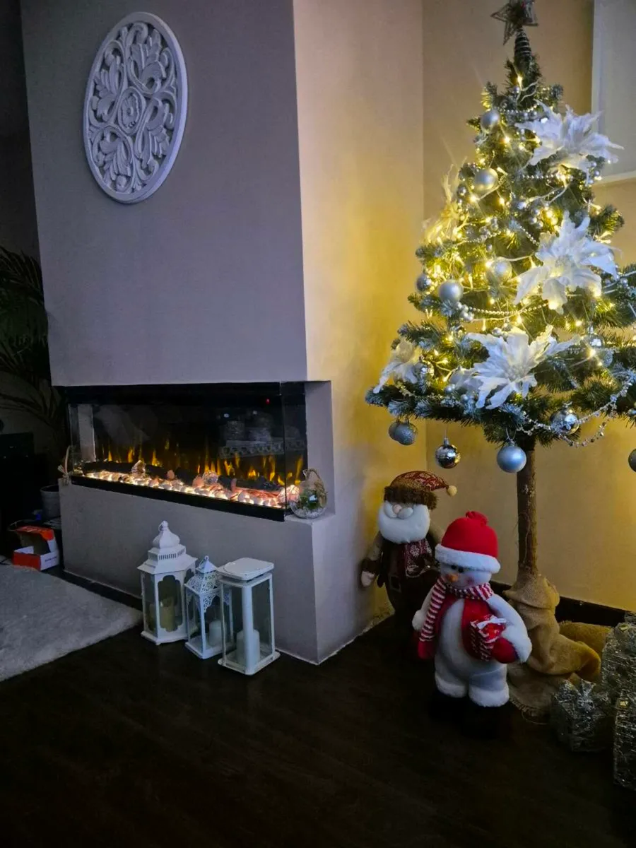 Electric Fireplaces.  www.ecofireplace.ie - Image 1