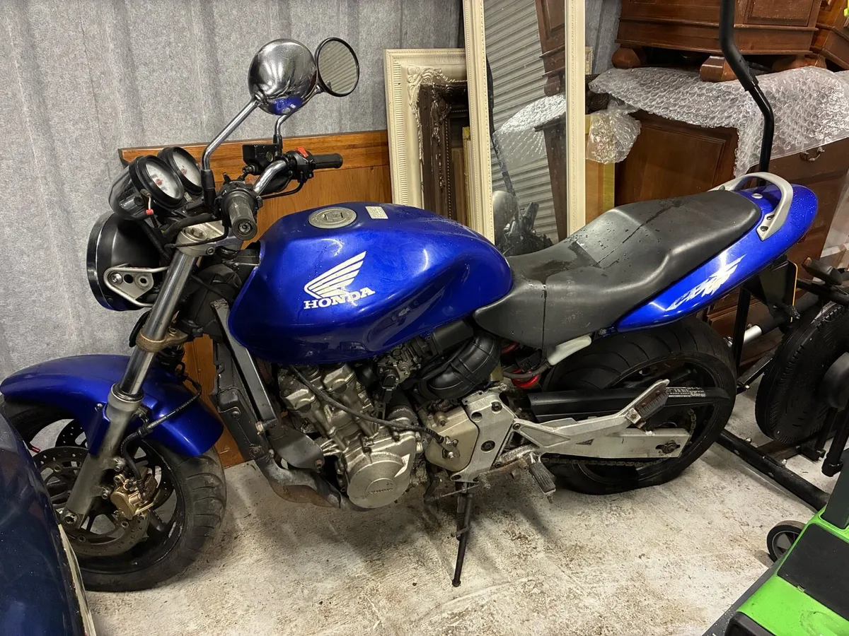 Honda hornet - Image 1