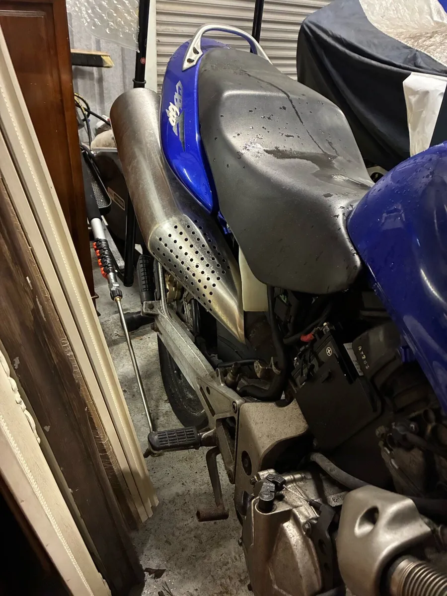 Honda hornet - Image 3