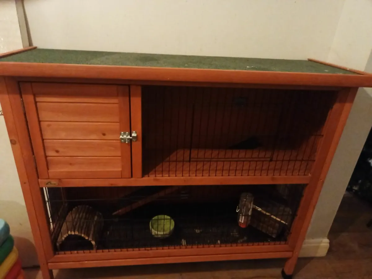 Rabbit hutch