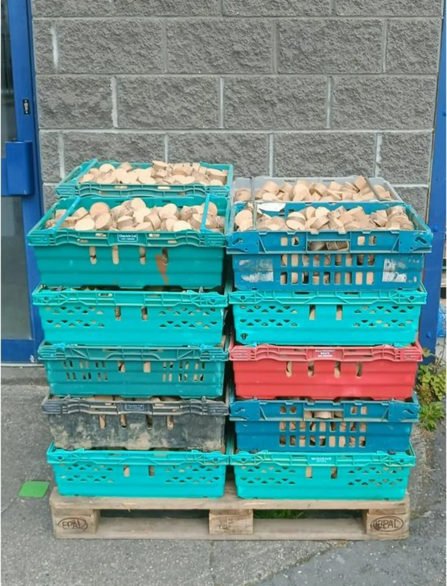 Compressed Kiln Dried Oak Sawdust Tablets - Image 2