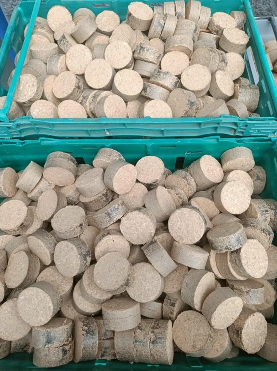 Compressed Kiln Dried Oak Sawdust Tablets - Image 4