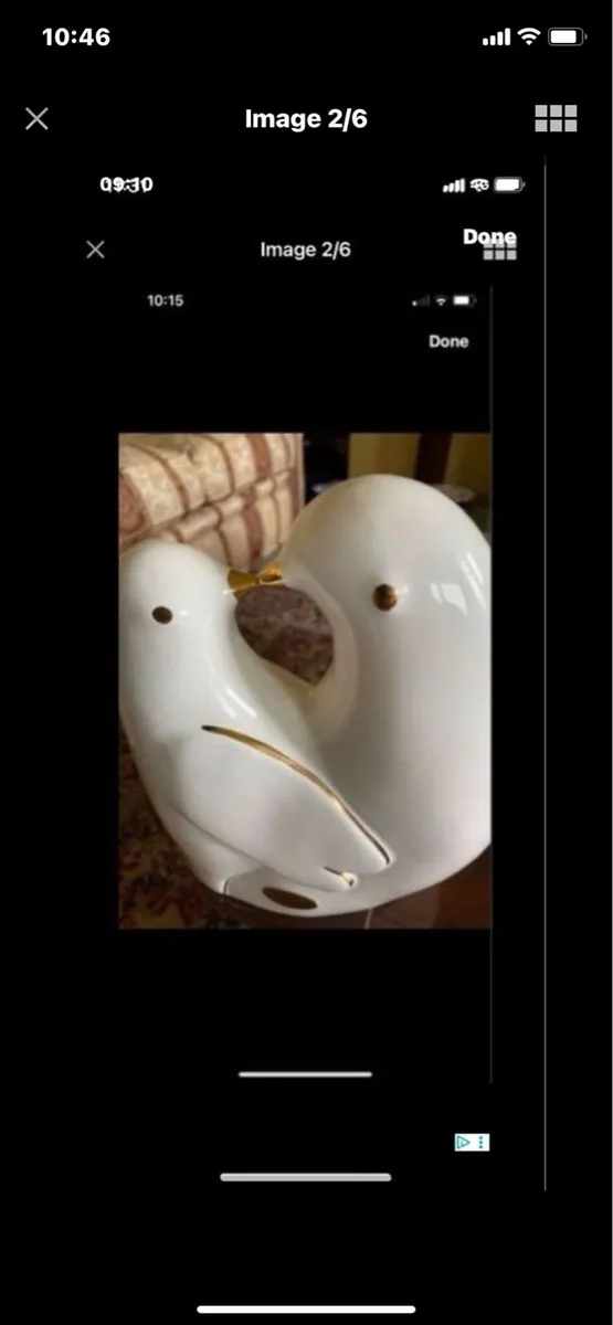 Ceramic Livebirds - Image 2