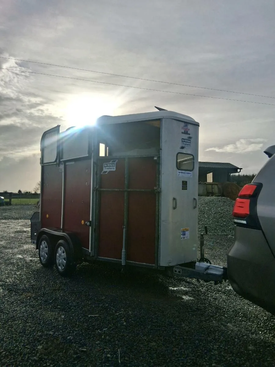 Iforwillams HB505 - Image 2