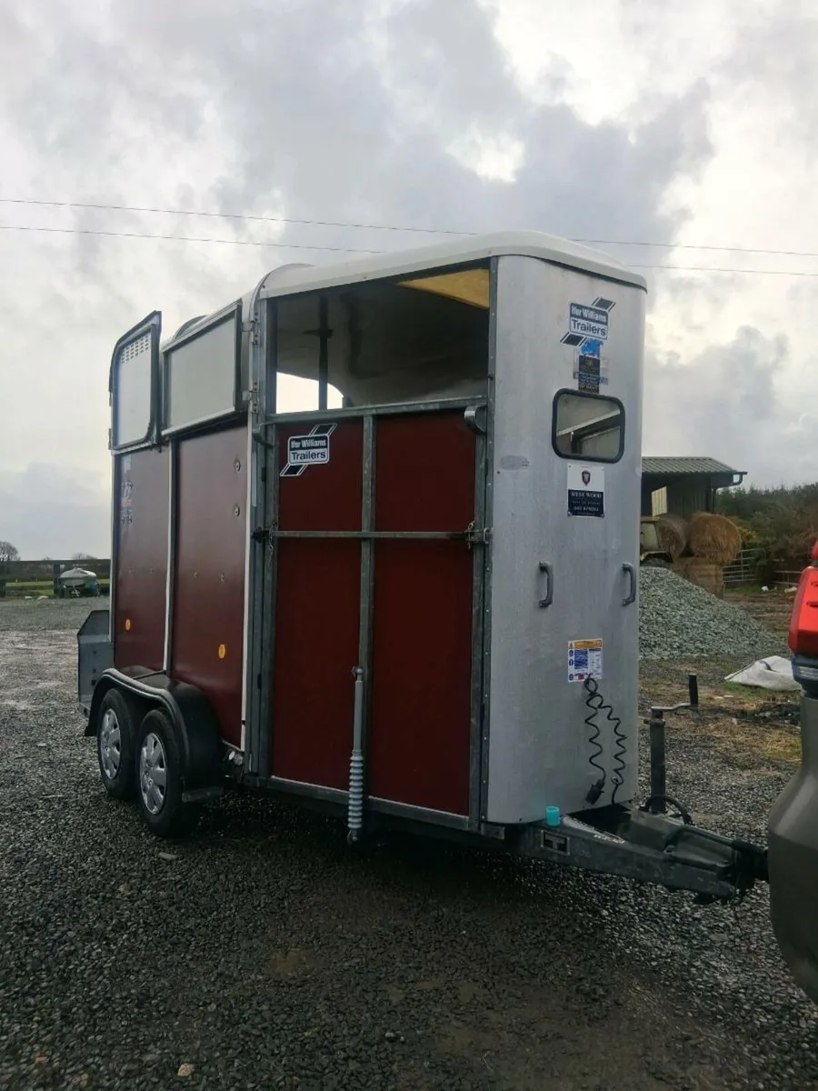 Iforwillams HB505 - Image 1