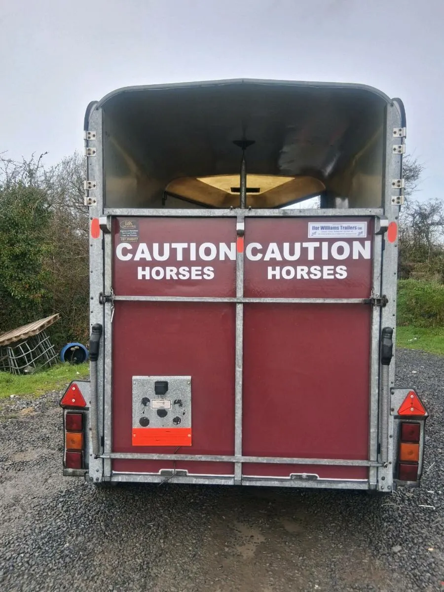 Iforwillams HB505 - Image 3