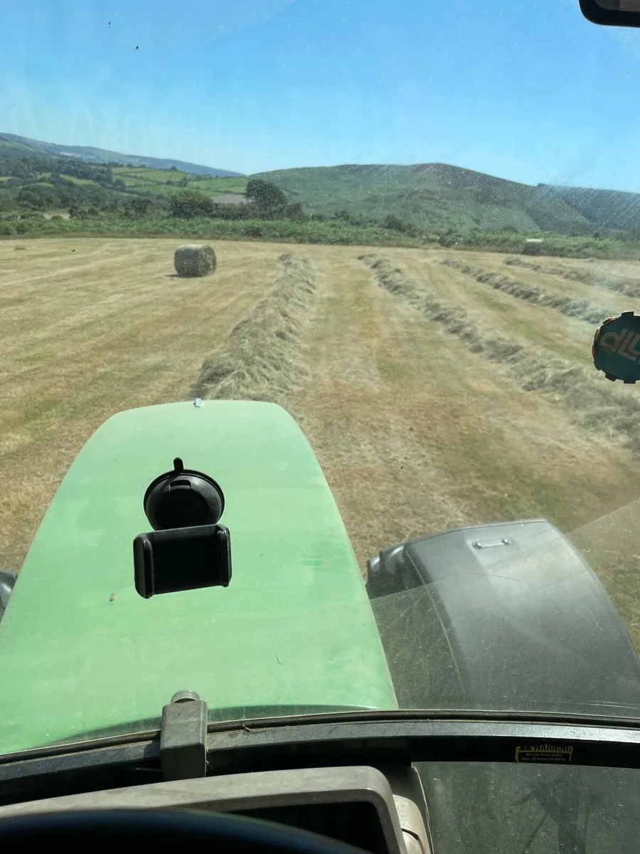 Top quality hay 200 bales - Image 2