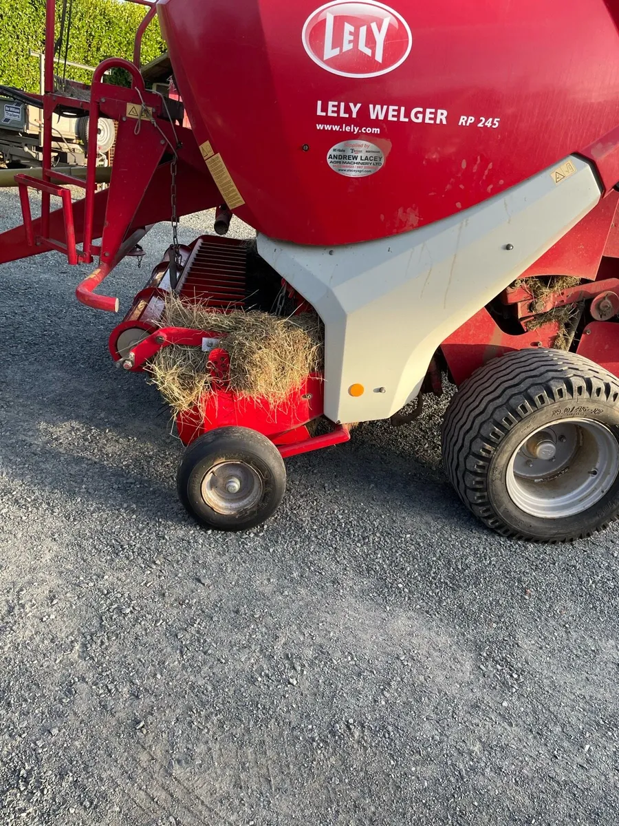 Top quality hay 200 bales - Image 3
