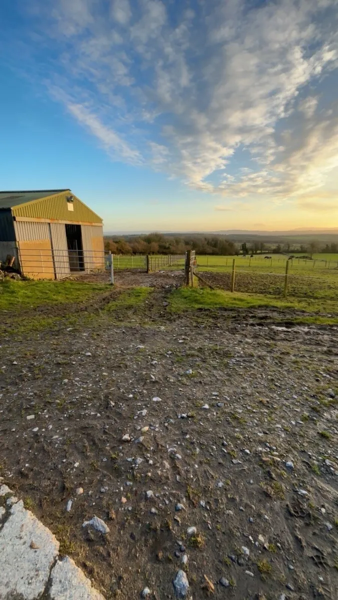 Horses- Breaking & Pre Training Livery - Image 3